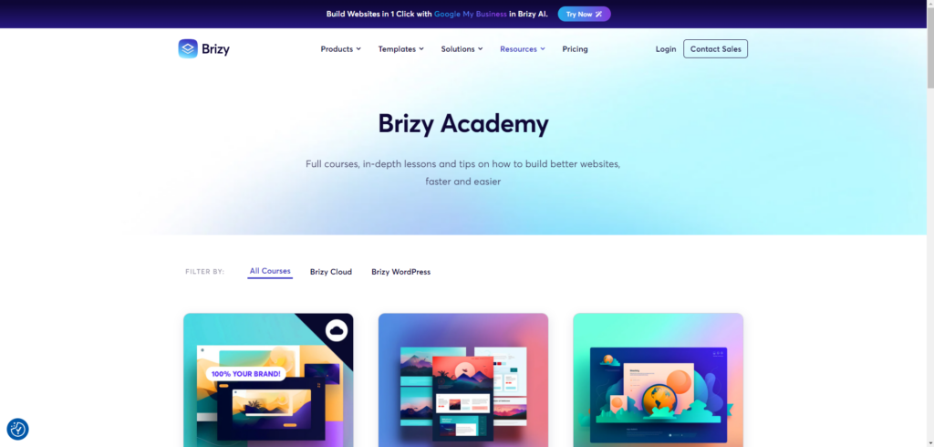 brizy academy